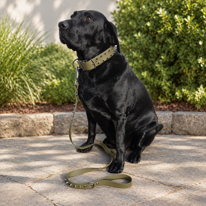 Wilderness Collar & Lead