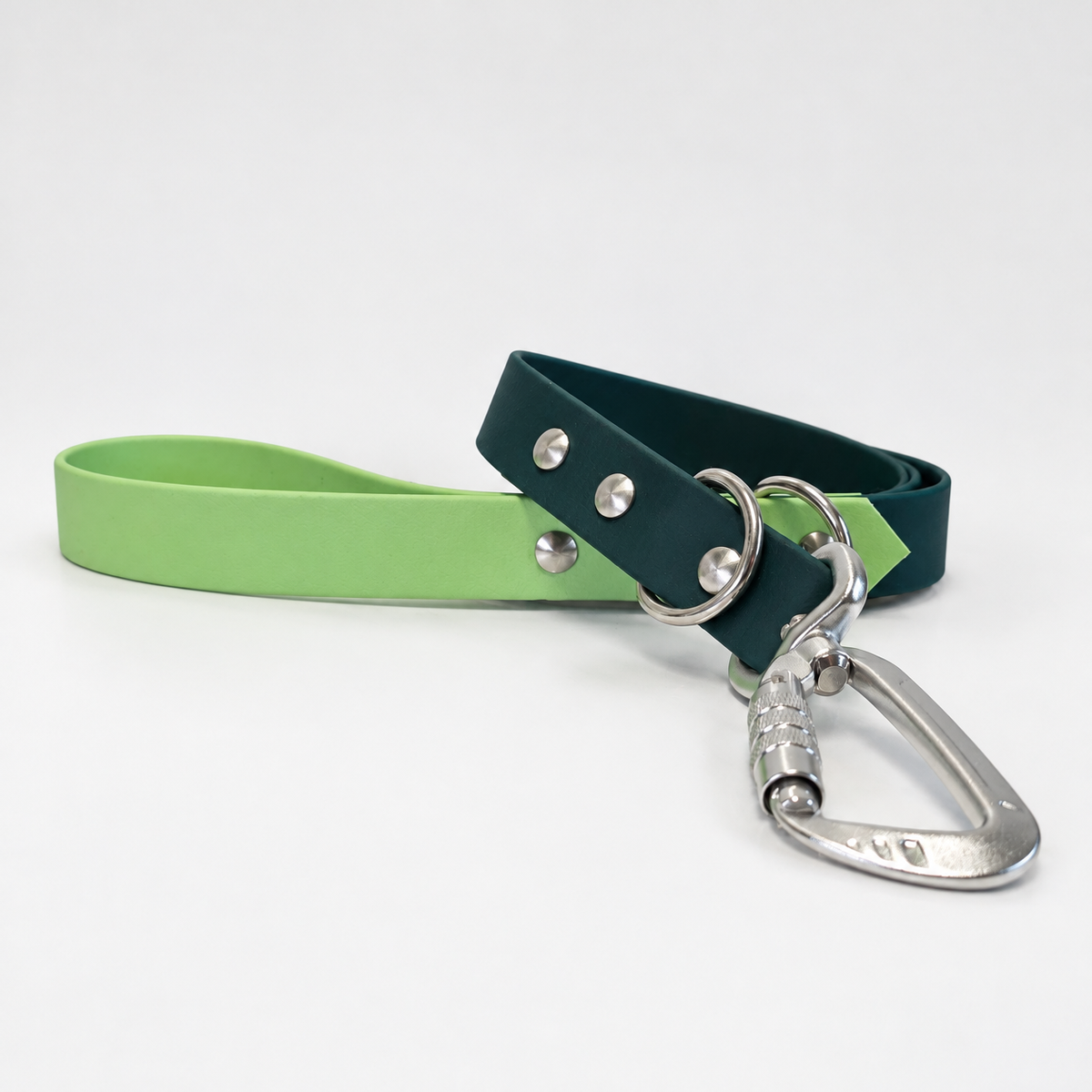 Rainforest Collar & Lead