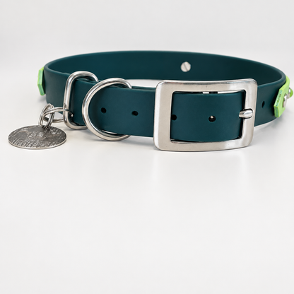 Rainforest Collar & Lead