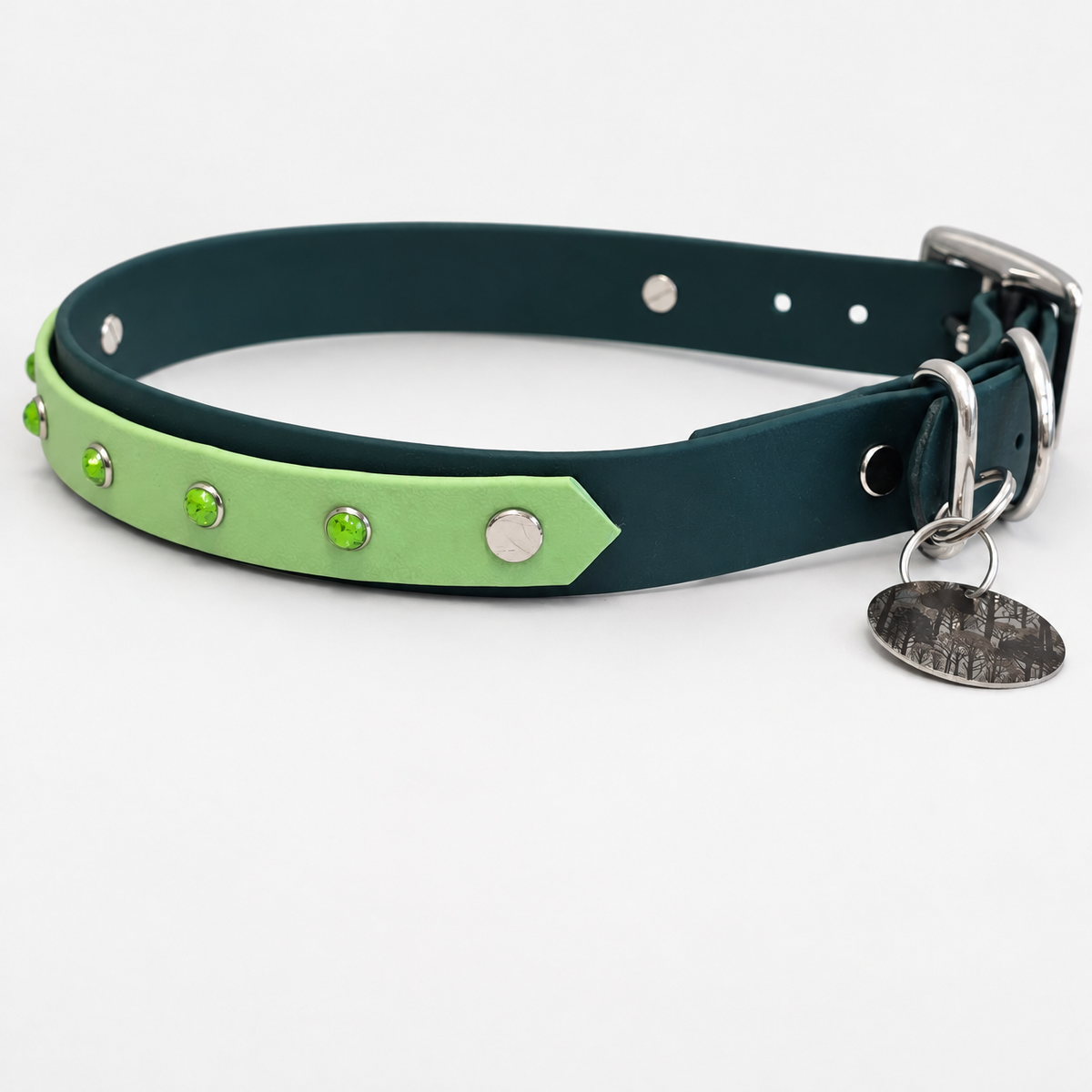 Rainforest Collar & Lead