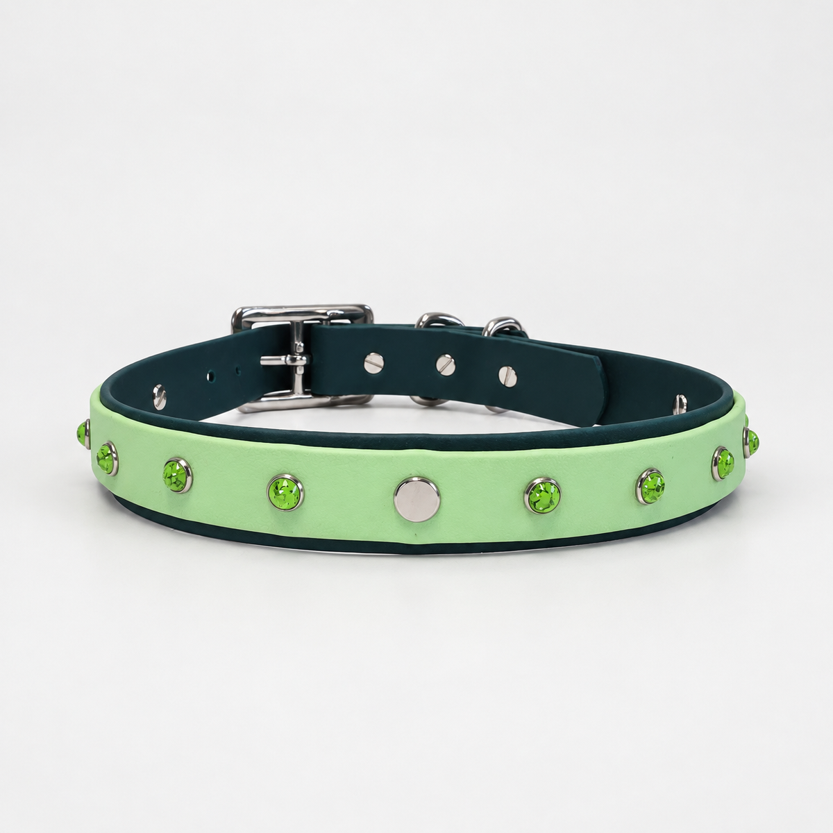 Rainforest Collar & Lead