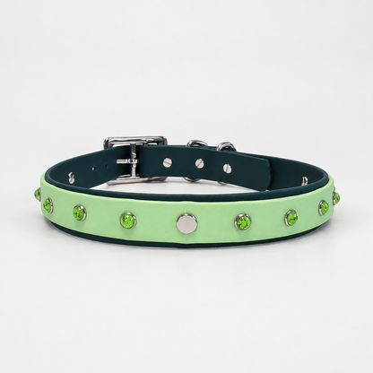 Rainforest Collar & Lead