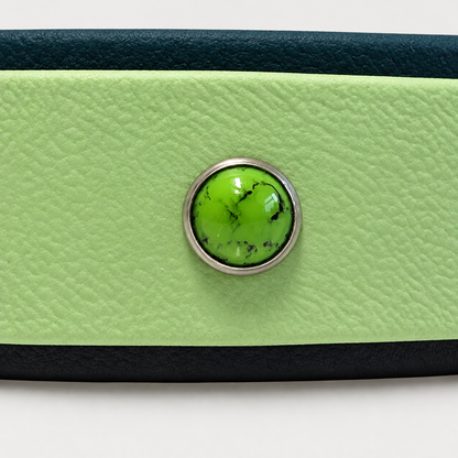 Rainforest Collar & Lead