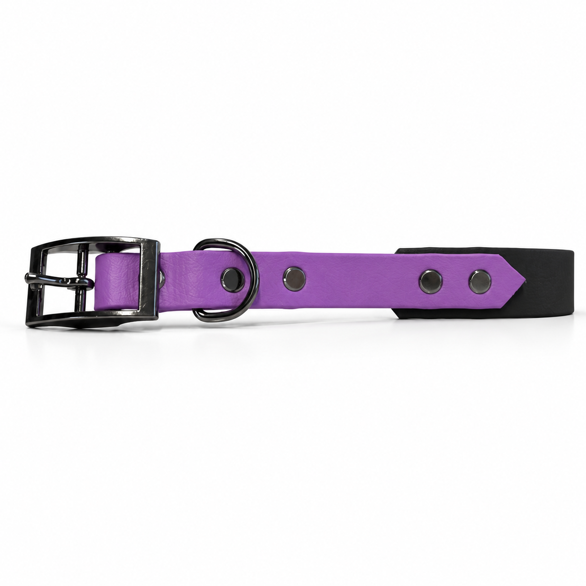 Dance Festival Collar & Lead