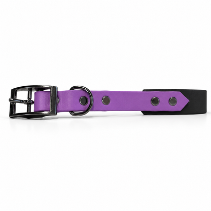 Dance Festival Collar & Lead