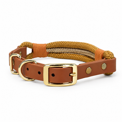 Caramel Collar & Lead