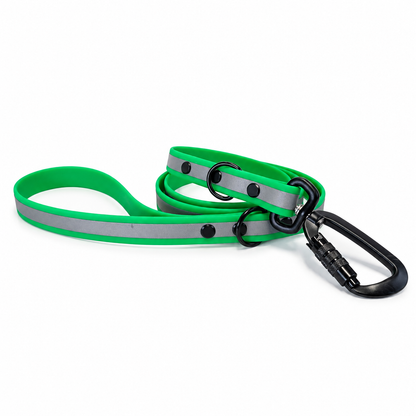 Acid Green Collar & Lead