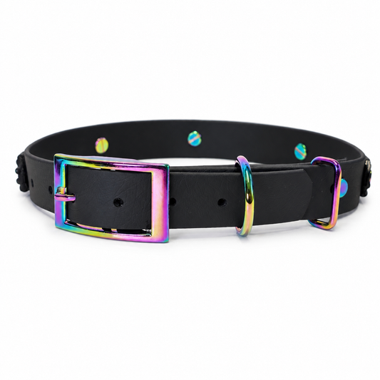Born Grippy Collar & Lead