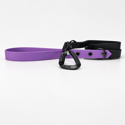 Dance Festival Collar & Lead