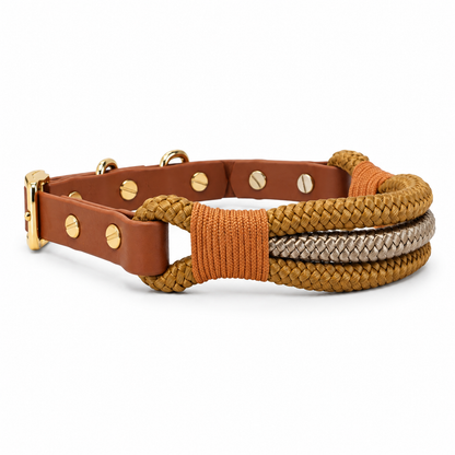 Caramel Collar & Lead