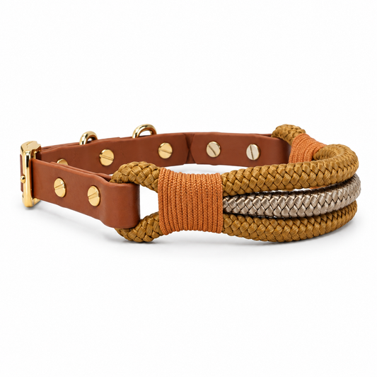 Caramel Collar & Lead