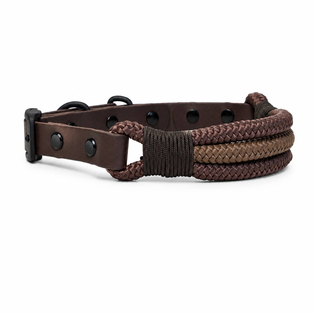 Chocolate Collar & Lead