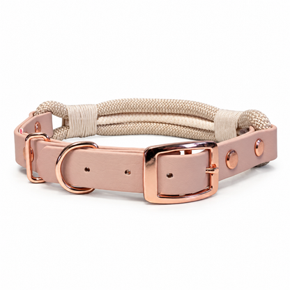Latte Collar & Lead