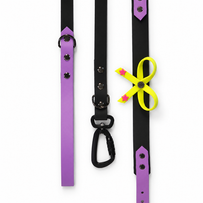 Dance Festival Collar & Lead