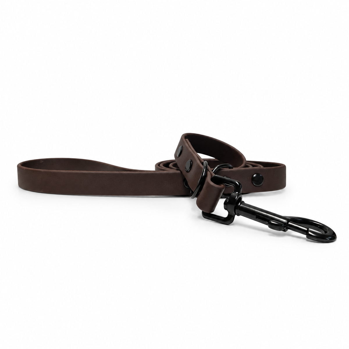Chocolate Collar & Lead