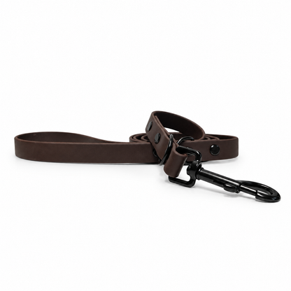 Chocolate Collar & Lead