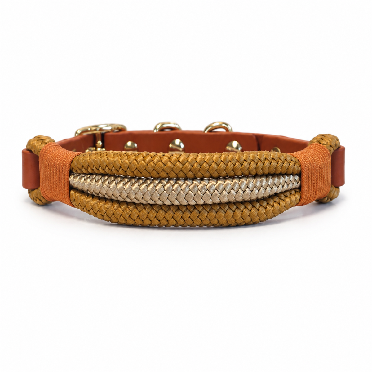 Caramel Collar & Lead
