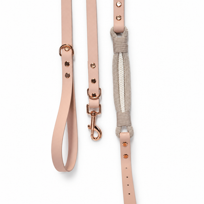 Latte Collar & Lead