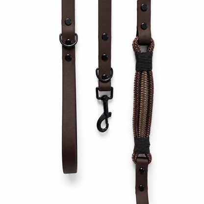 Chocolate Collar & Lead