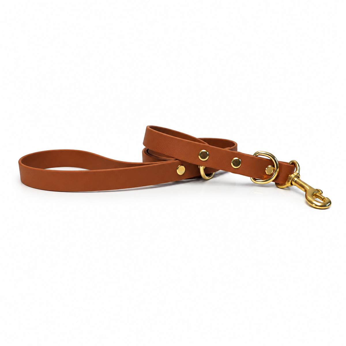 Caramel Collar & Lead