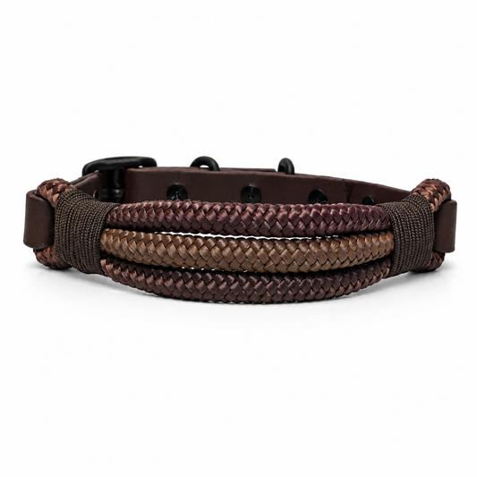 Chocolate Collar & Lead