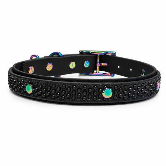 Born Grippy Collar & Lead